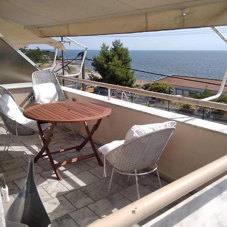 Super View Seafront Apartment Nea Michaniona Eksteriør billede